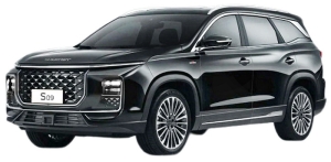 Soueast S09 (2024->)