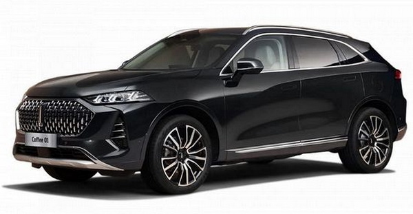 Автомобильные коврики EVA 3D для Wey 05 (Coffee 01) (2023->)